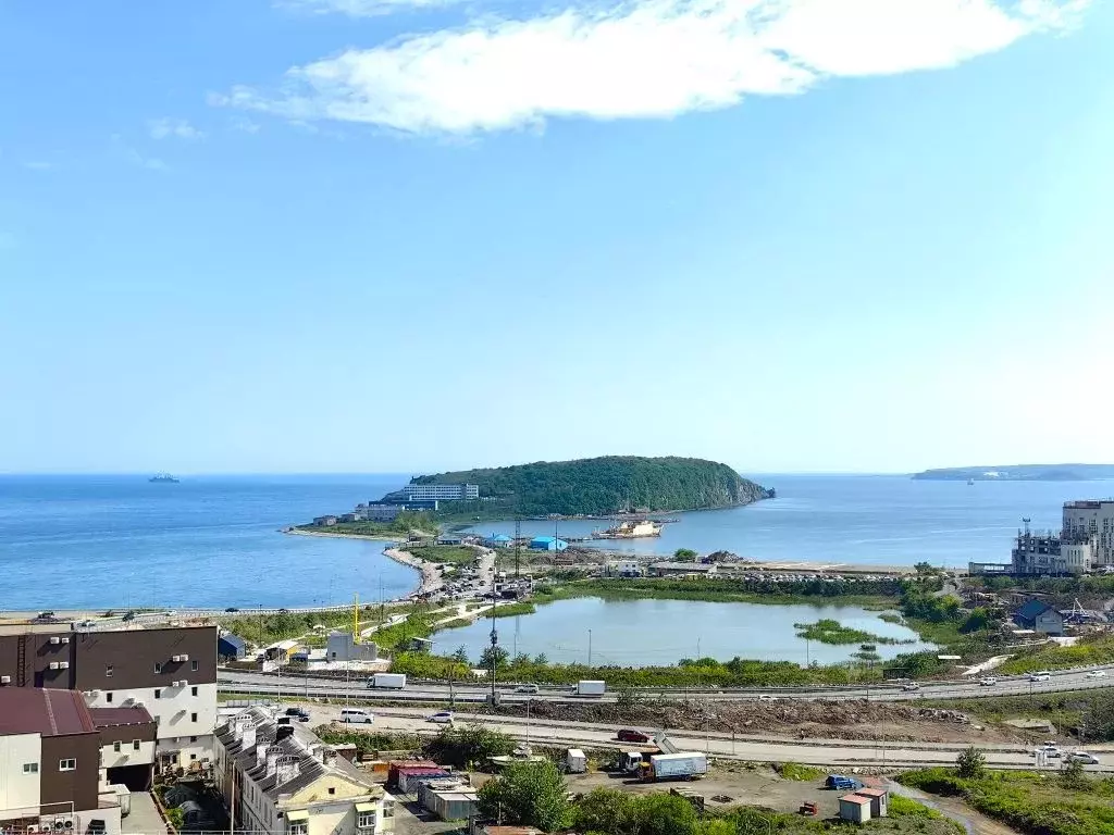 2-к кв. Приморский край, Владивосток ул. Басаргина, 6Бк2 (58.0 м) - Фото 0