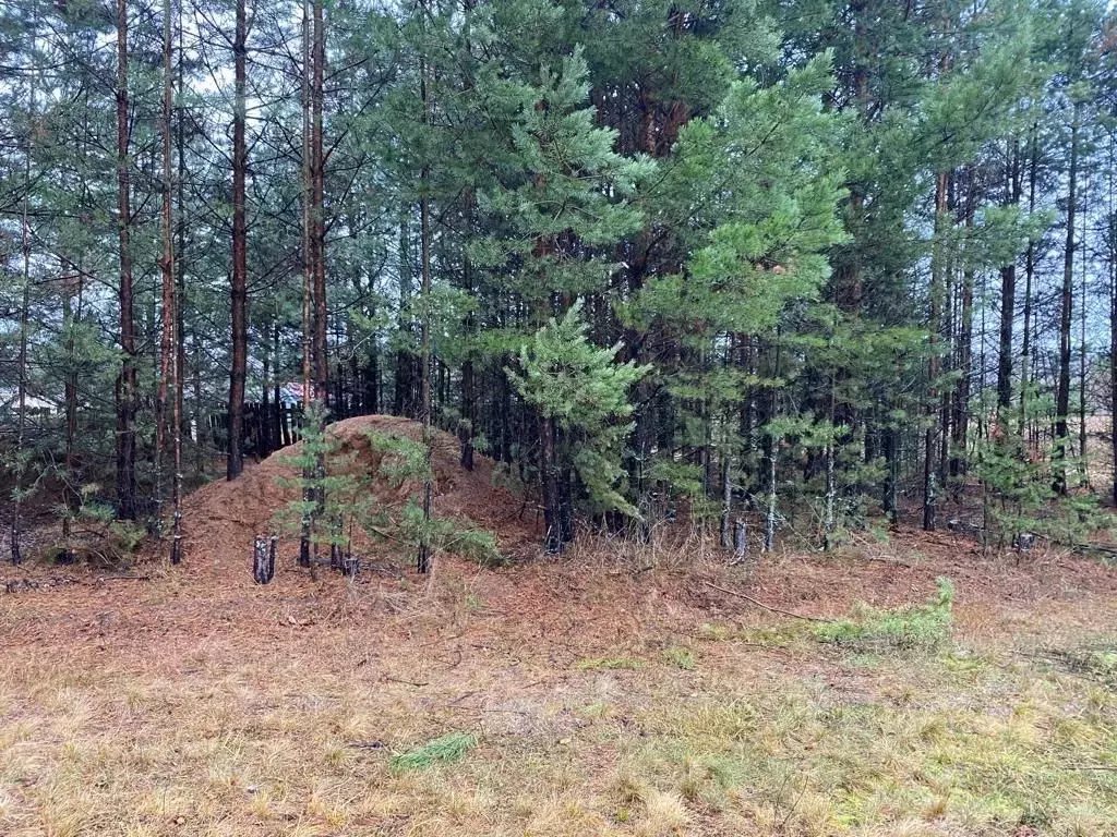Участок в Нижегородская область, Городецкий муниципальный округ, д. ... - Фото 2