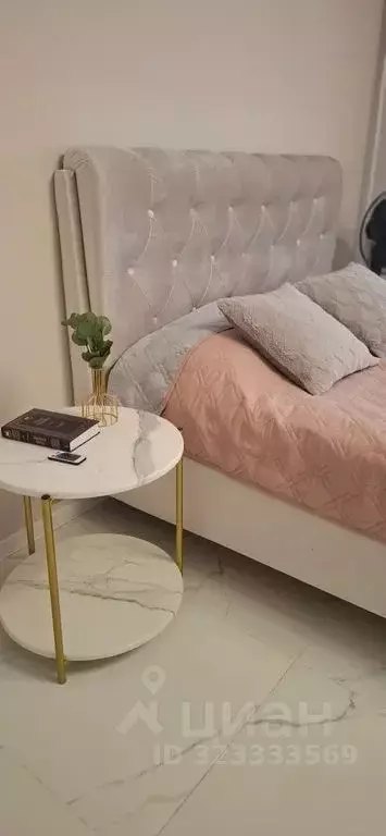 Студия Челябинская область, Челябинск Университетская Набережная ул., ... - Фото 2