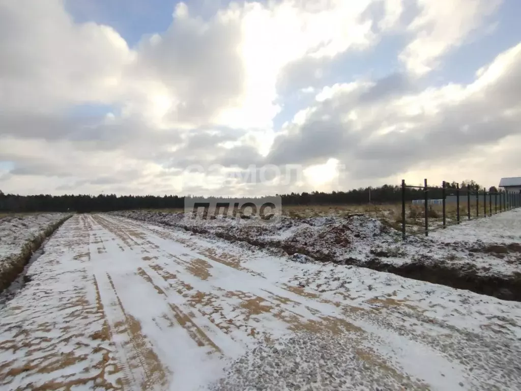 Участок в Московская область, Серпухов городской округ, Сосновый бор ... - Фото 1