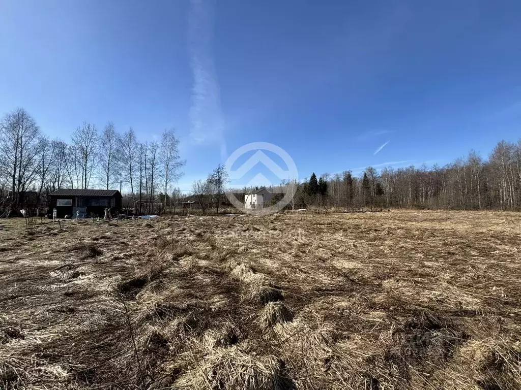 Участок в Московская область, Клин городской округ, Весна садовое ... - Фото 2