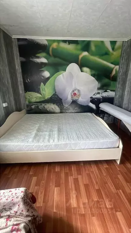 1-к кв. Алтайский край, Барнаул Советская ул., 3 (32.0 м) - Фото 0