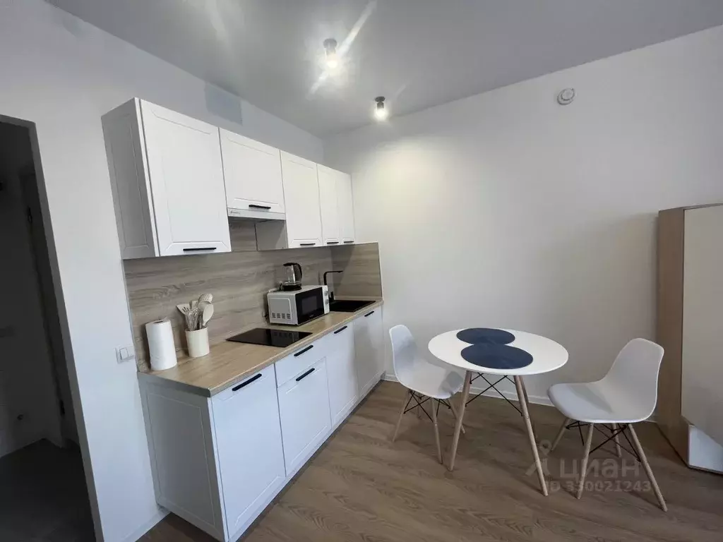 Студия Московская область, Одинцово ул. Каштановая, 16к1 (23.3 м) - Фото 1