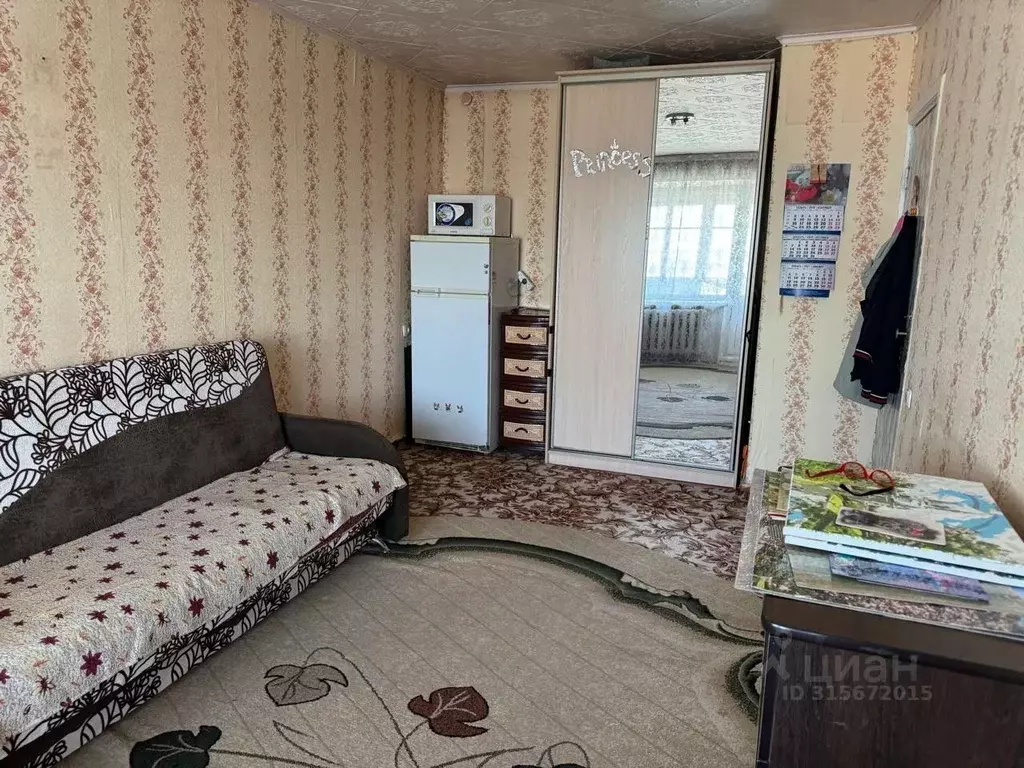 Комната Алтайский край, Барнаул пер. Малый Прудской, 37 (16.5 м) - Фото 0