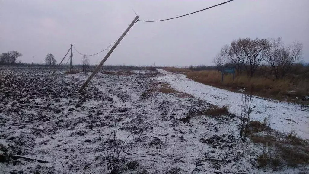 Участок в Хабаровский край, Хабаровский район, с. Корсаково-2 Лесная ... - Фото 1