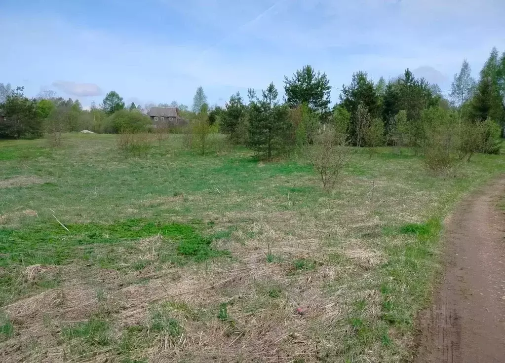 Участок в Новгородская область, Валдайский муниципальный округ, ... - Фото 1