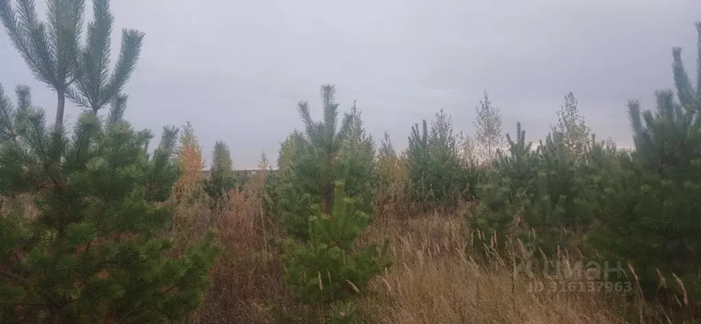 Участок в Курганская область, Курган Изумрудный кп,  (12.5 сот.) - Фото 1