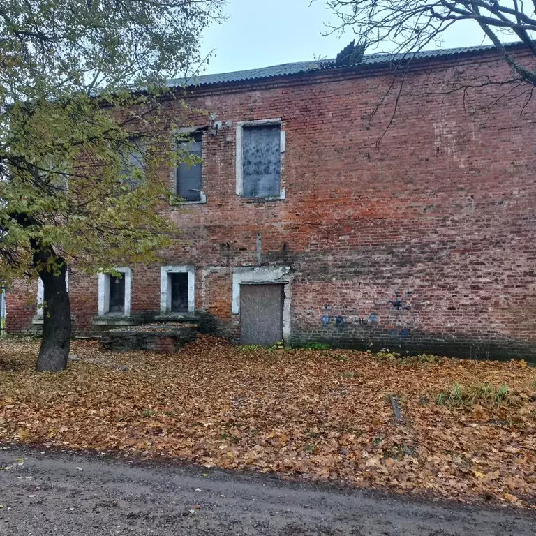 Помещение свободного назначения в Смоленская область, Ярцево 1-я ... - Фото 1