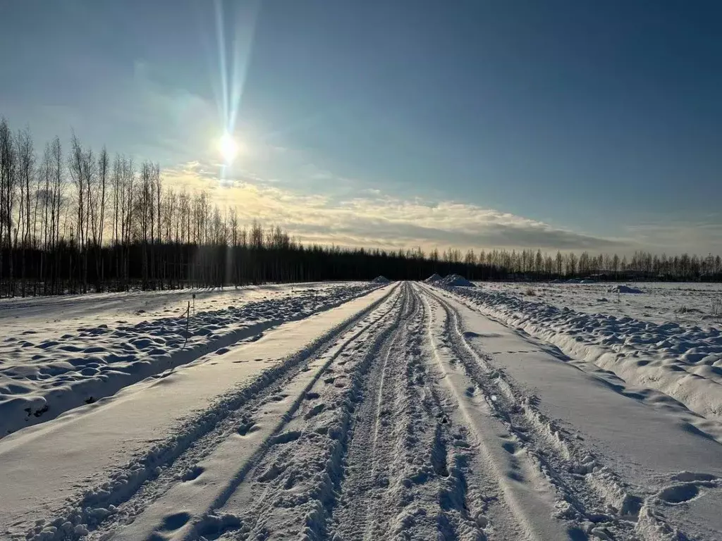 Участок в Ленинградская область, Всеволожский район, Бугровское ... - Фото 1