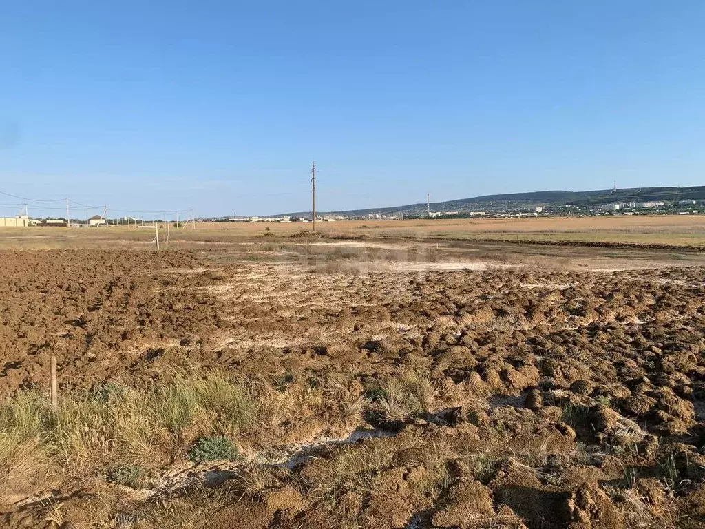 Участок в Крым, Феодосия Инвалидов Ручеек СПК, ул. Садовая (7.8 сот.) - Фото 1