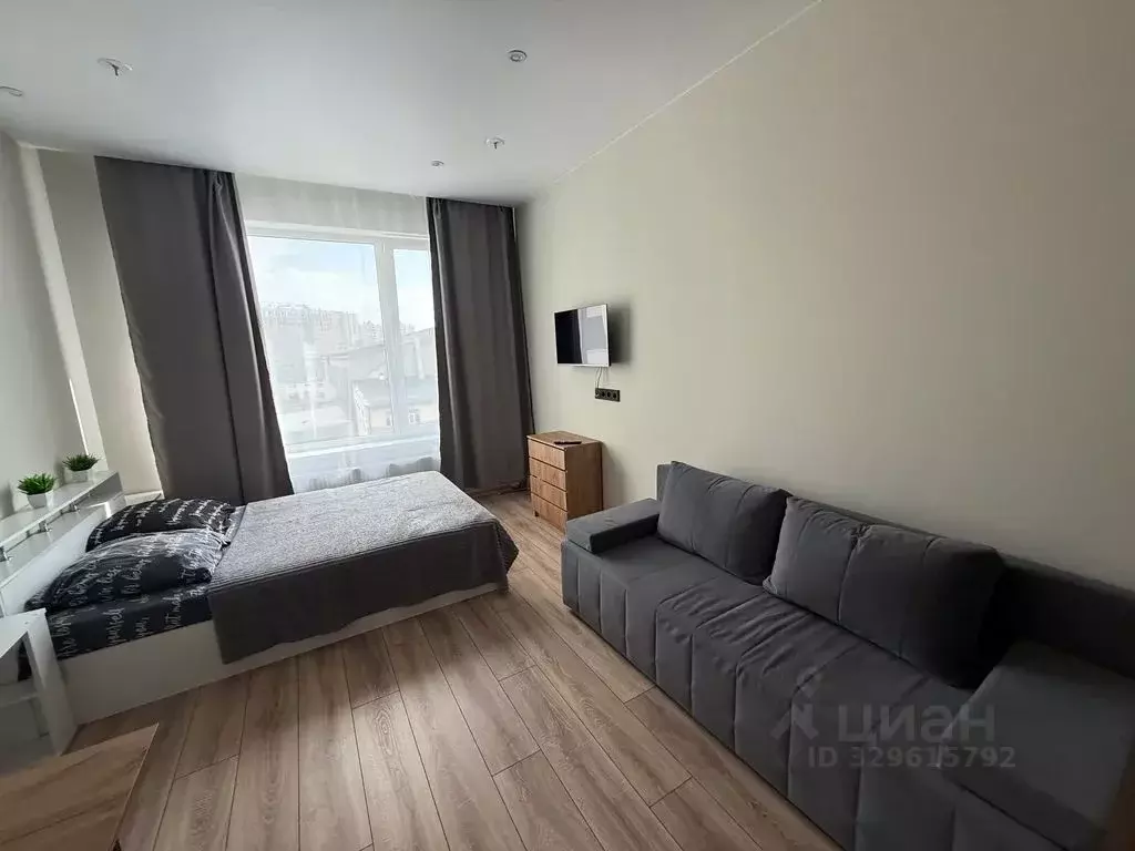 Студия Санкт-Петербург просп. Энергетиков, 8к2 (25.0 м) - Фото 2