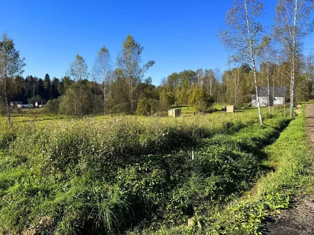 Участок в Московская область, Дмитровский муниципальный округ, Форест ... - Фото 0