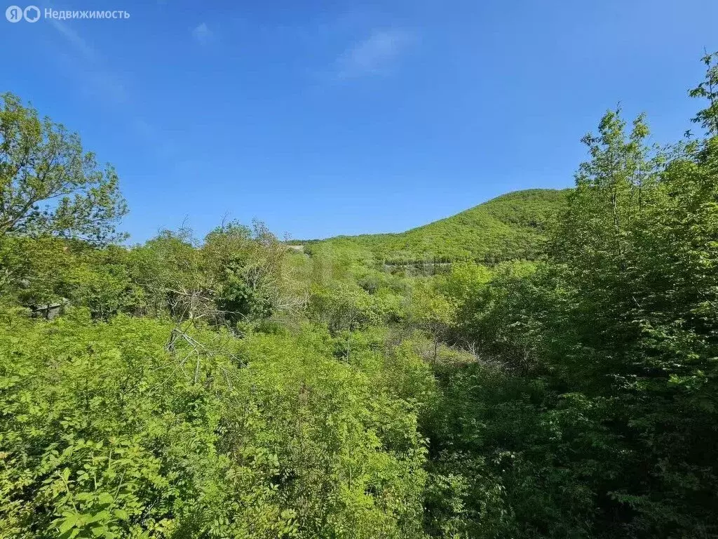 Участок в село Абрау-Дюрсо, улица имени Петра Косенко (6 м) - Фото 1