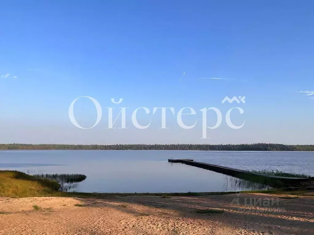 Участок в Ленинградская область, Всеволожский район, Куйвозовское ... - Фото 1