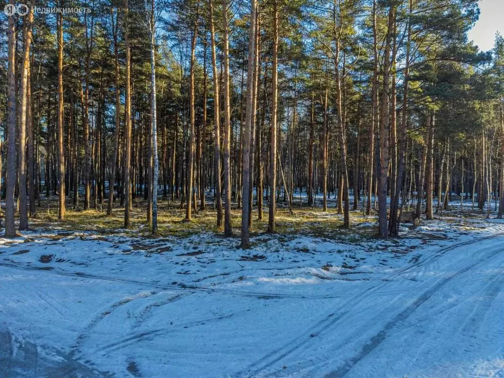 Участок в Богородский городской округ (11.5 м) - Фото 1