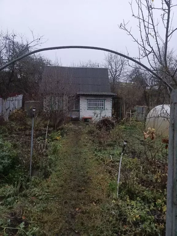 Дом в Брянская область, Брянск Рассвет садовое общество,  (36 м) - Фото 2