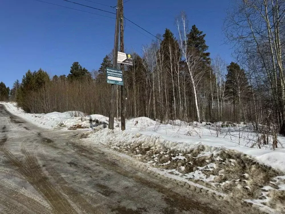 Участок в Иркутская область, Иркутский муниципальный округ, д. ... - Фото 2