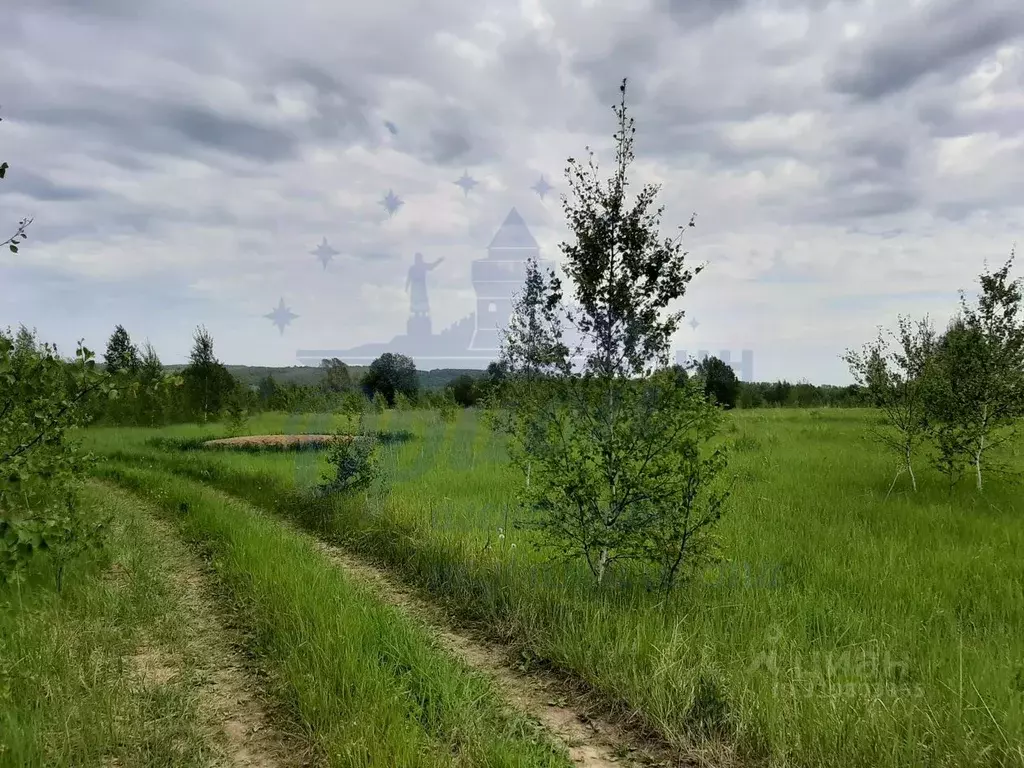 Участок в Нижегородская область, Лысковский район, с. Окишино  ... - Фото 1