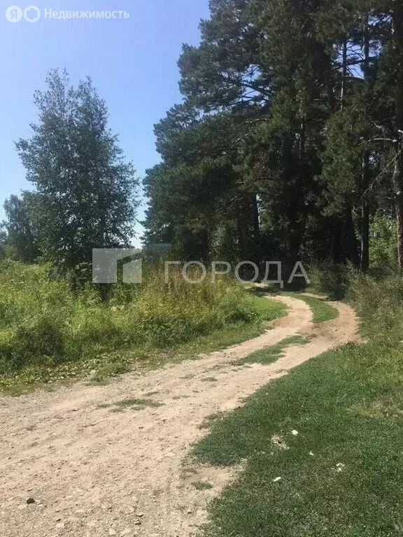 Участок в Быстровский сельсовет, посёлок Факел Революции, улица ... - Фото 1