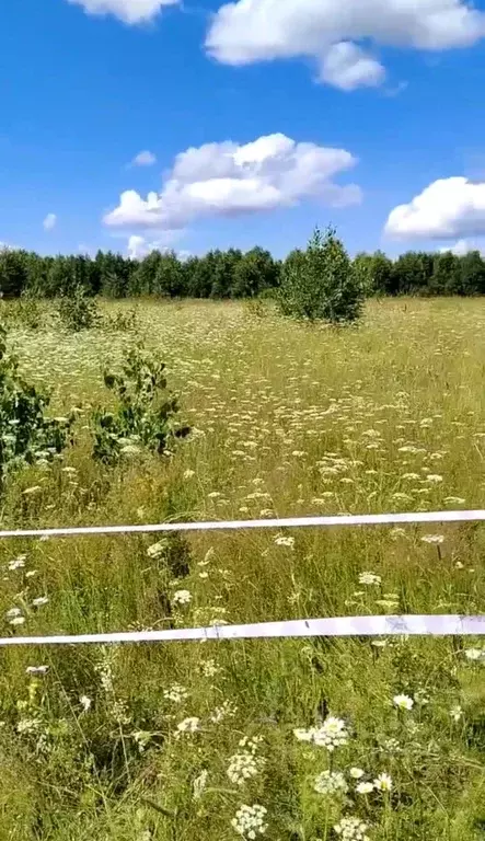 Участок в Новосибирская область, Новосибирский район, Каменский ... - Фото 2