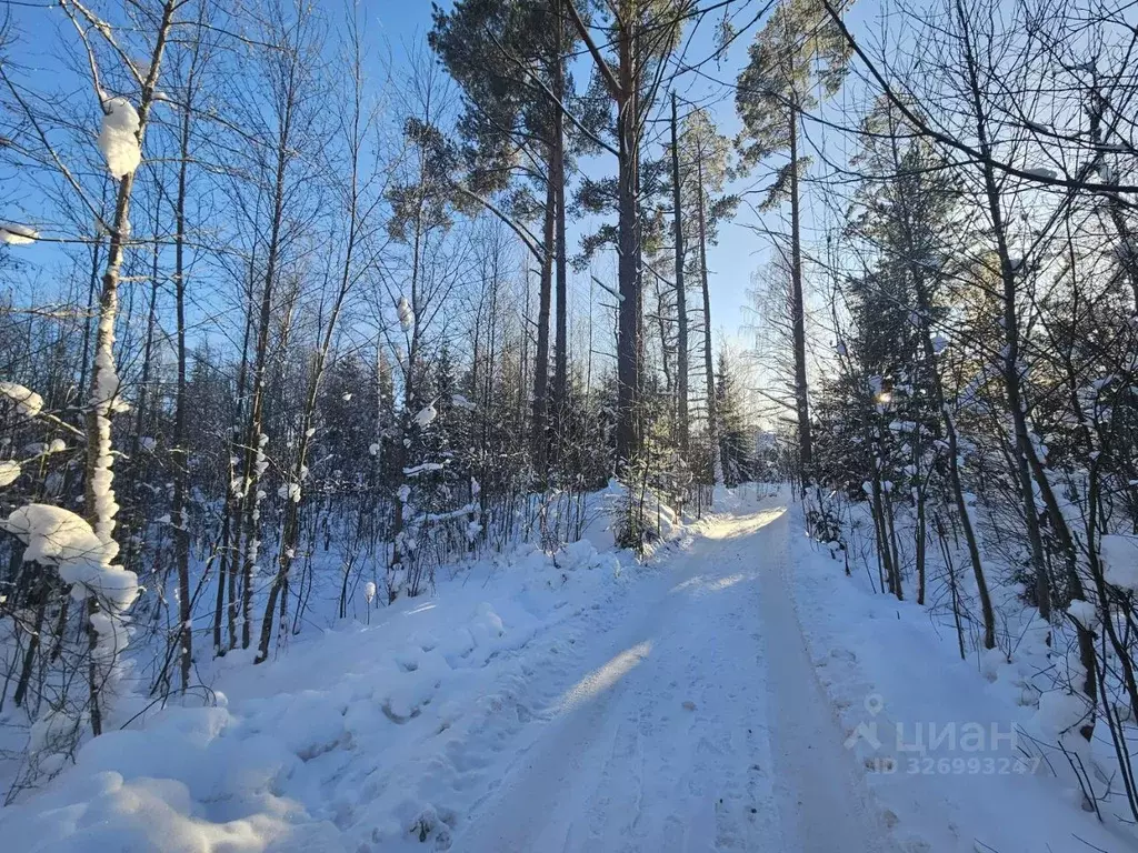 Участок в Ленинградская область, Приозерский район, пос. Сосново ул. ... - Фото 2