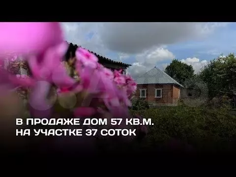 Дом 57 м на участке 37 сот. - Фото 1