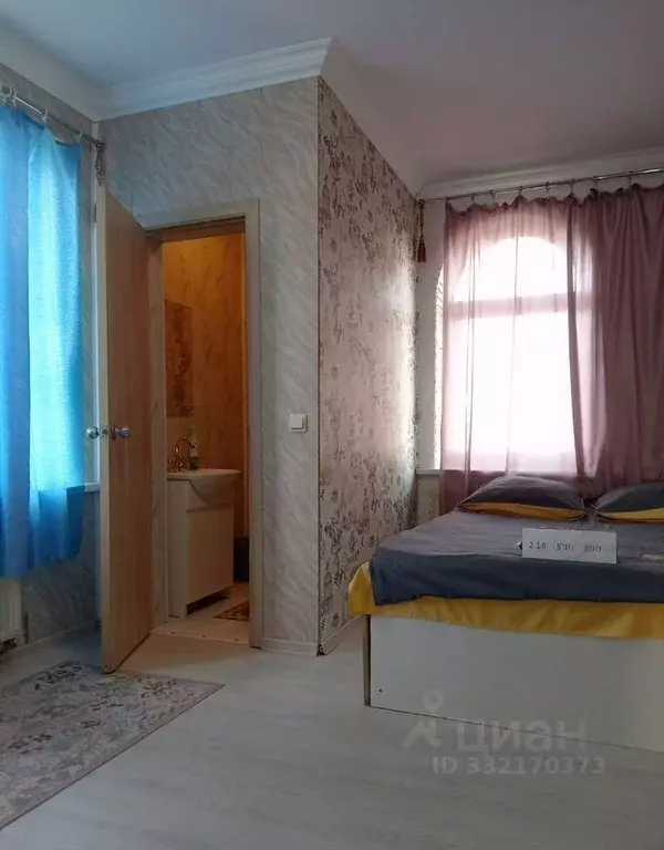 Студия Московская область, Руза Рябиновая ул., 14 (23.0 м) - Фото 2