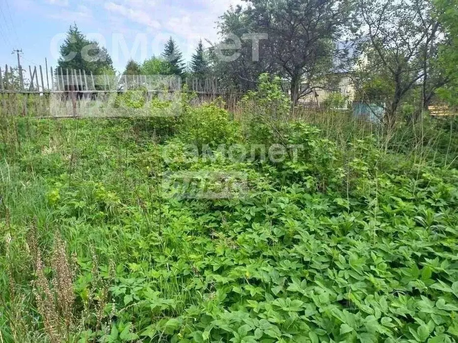 Участок в Вологодская область, д. Елгино  (8.0 сот.) - Фото 2