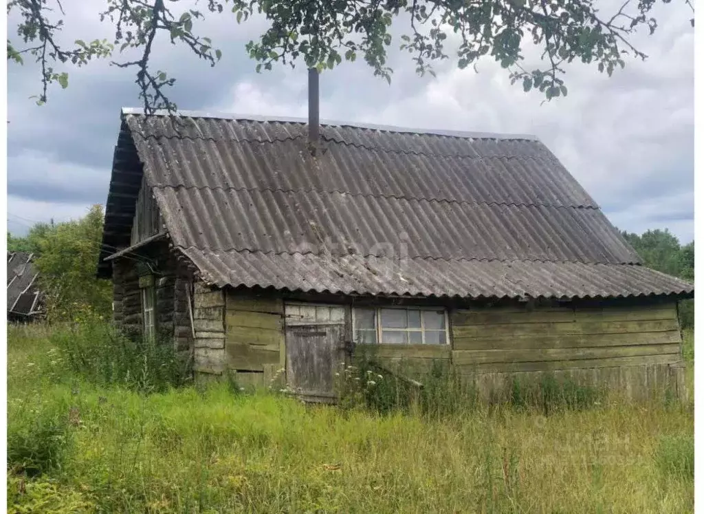 Участок в Псковская область, Невельский муниципальный округ, д. ... - Фото 2