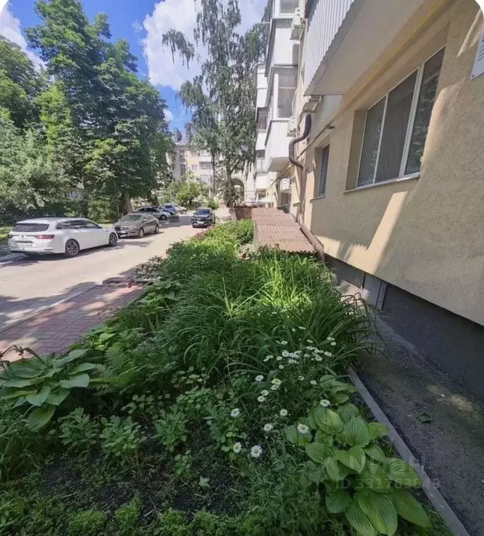 2-к кв. Белгородская область, Белгород Народный бул., 39А (45.0 м) - Фото 2