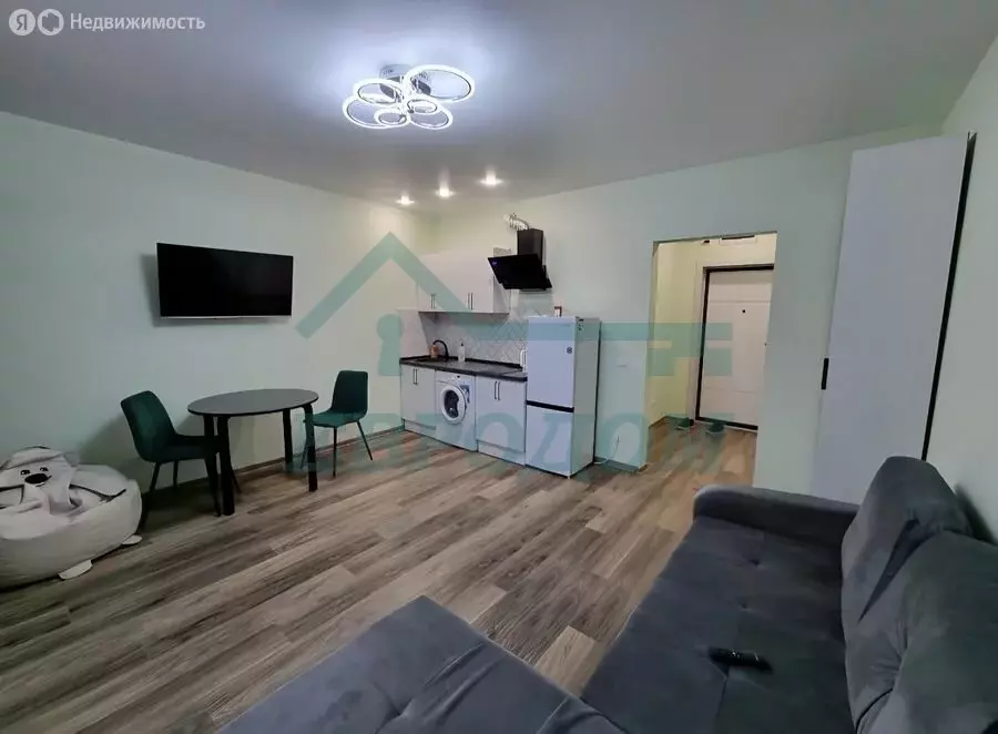 Квартира-студия: Новосибирск, Красный проспект, 167/3 (26.2 м) - Фото 2