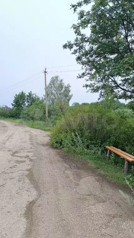 Участок 5 сот. (СНТ, ДНП) - Фото 0
