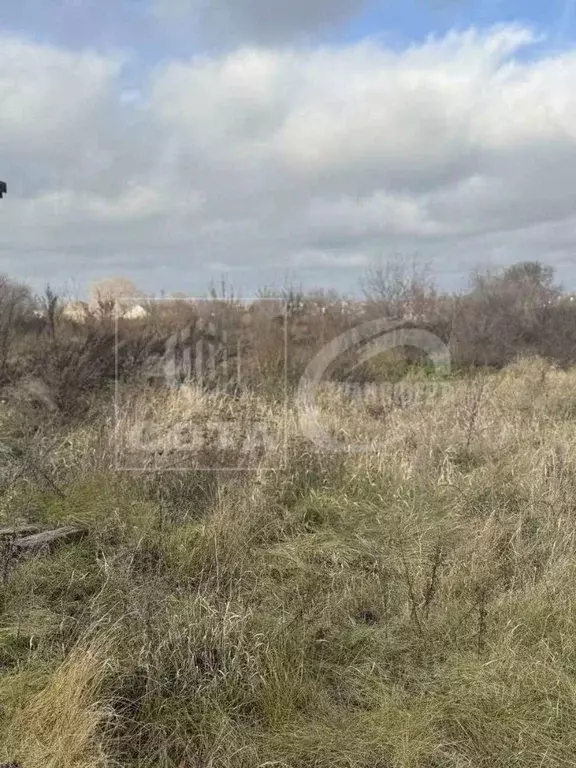 Участок в Воронежская область, Новоусманский район, пос. Отрадное ул. ... - Фото 2