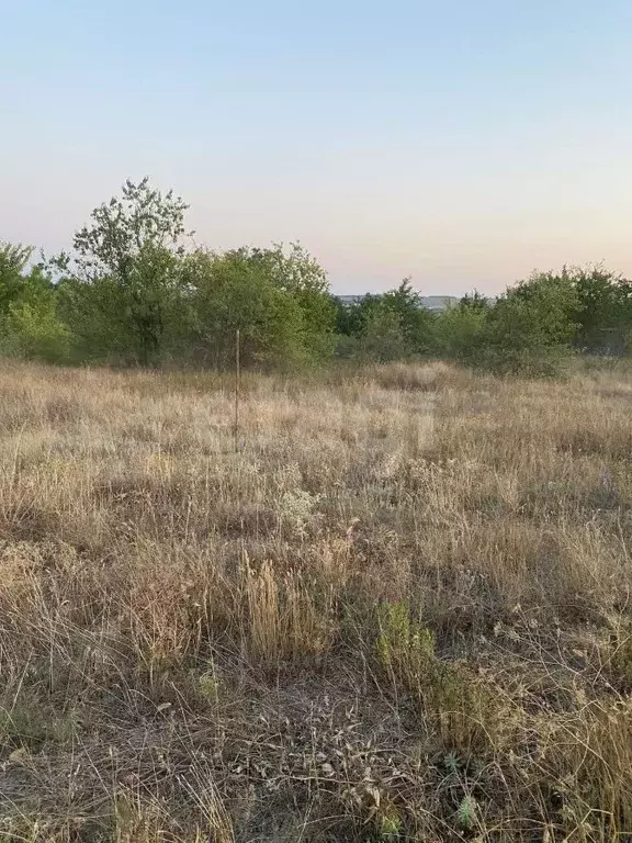 Участок в Ростовская область, Родионово-Несветайский район, ... - Фото 1