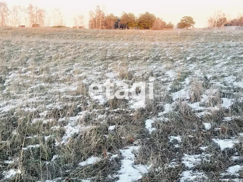 Участок в Красноярский край, Емельяновский муниципальный округ, с. ... - Фото 1