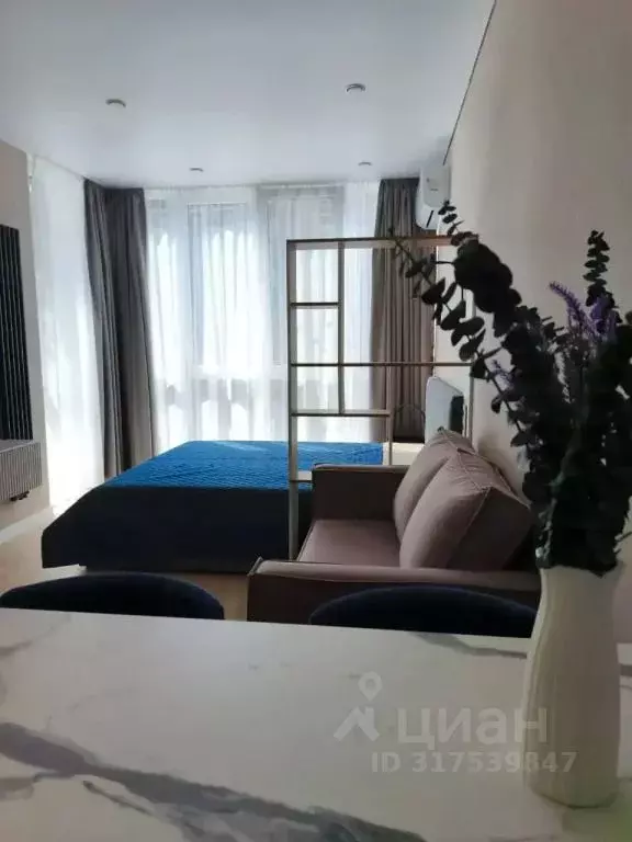 1-к кв. Краснодарский край, Сочи ул. Искры, 66/9 (20.0 м) - Фото 1