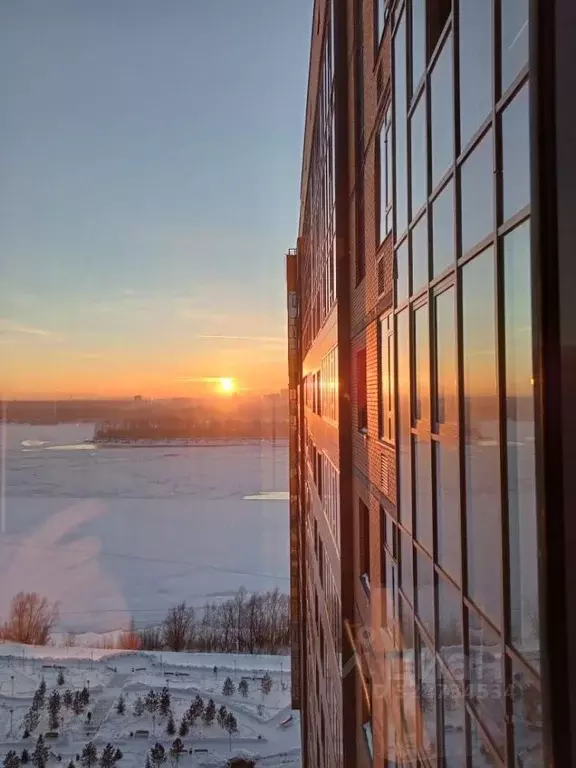 Студия Новосибирская область, Новосибирск 2-я Обская ул., 154 (28.8 м) - Фото 1