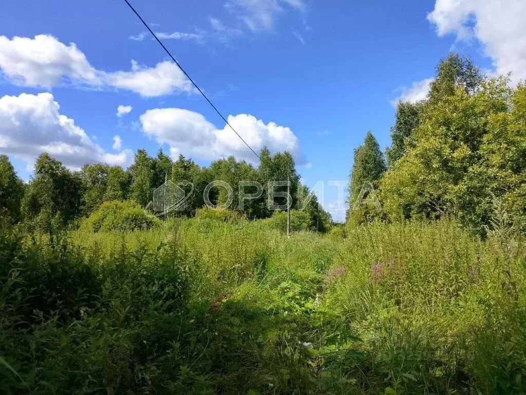 Участок в Тюменская область, Нижнетавдинский муниципальный округ, ... - Фото 1