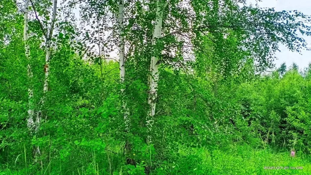 Участок в Иркутская область, Иркутск Славный мкр,  (8.5 сот.) - Фото 2