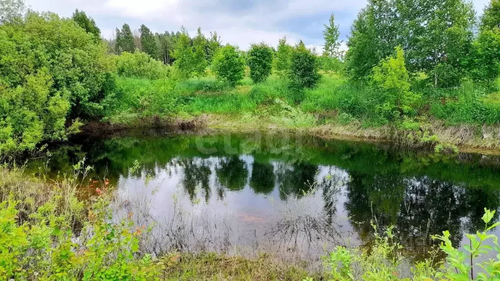 Участок в Кировская область, Кирово-Чепецкий район, с. Кстинино  (80.0 ... - Фото 2