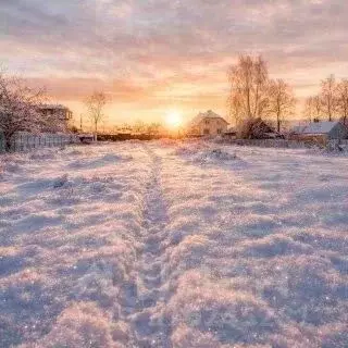 Участок в Ярославская область, Ярославский муниципальный округ, д. ... - Фото 1