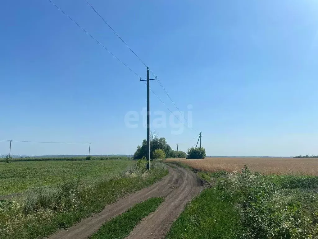 Участок в Белгородская область, Белгородский муниципальный округ, с. ... - Фото 1