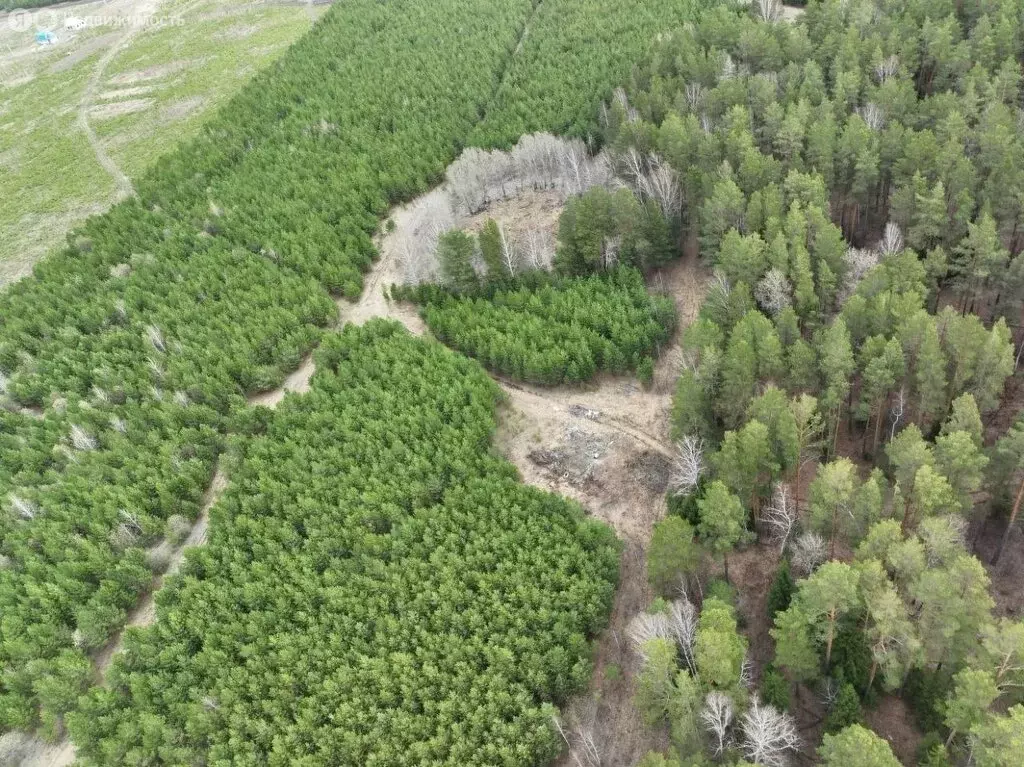 Участок в посёлок городского типа Тугулым, Новая улица (12.63 м) - Фото 0