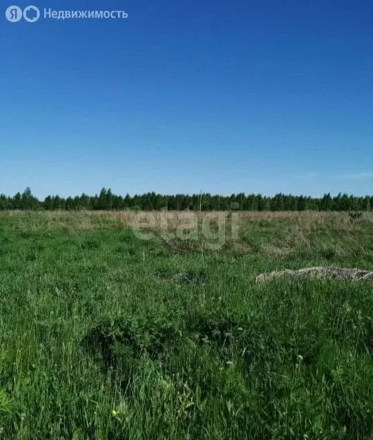 Участок в Нижегородская область, село Дивеево (670 м) - Фото 1