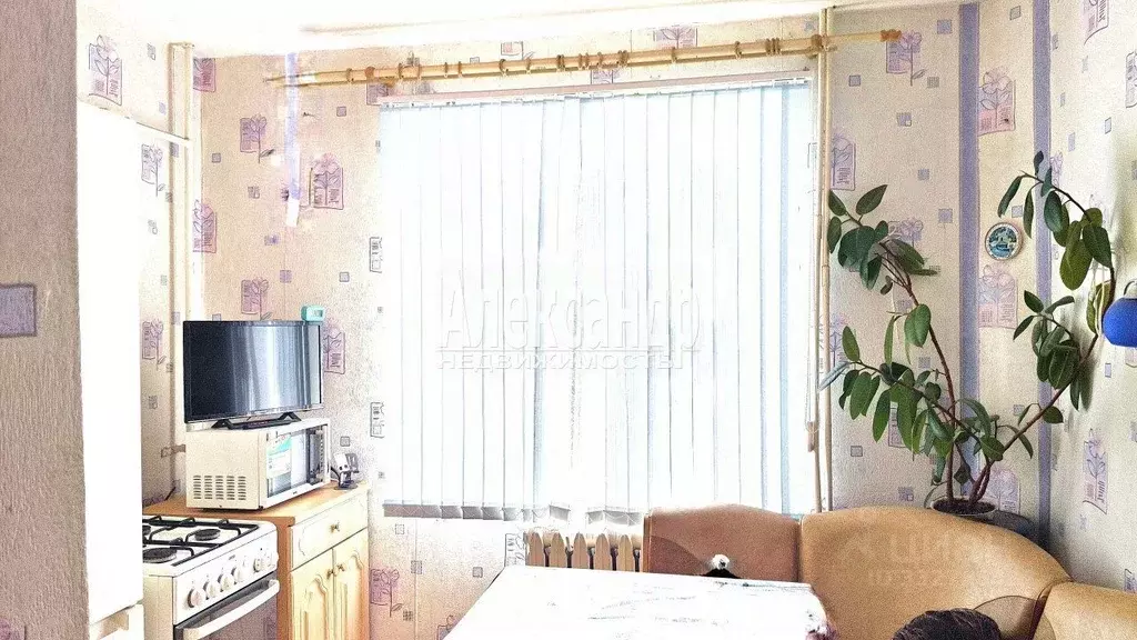 1-к кв. Ленинградская область, Приозерский район, Плодовское с/пос, ... - Фото 1