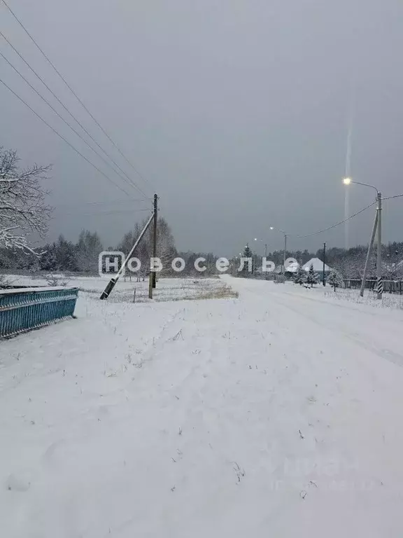 Дом в Рязанская область, Шацкий район, Желанновское с/пос, с. Завидное ... - Фото 1