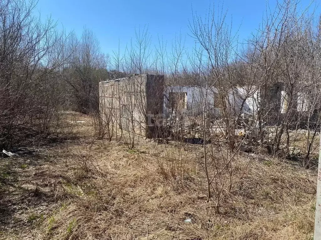 Участок в Алтайский край, Бийский район, с. Лесное Совхозная ул. (9.4 ... - Фото 1