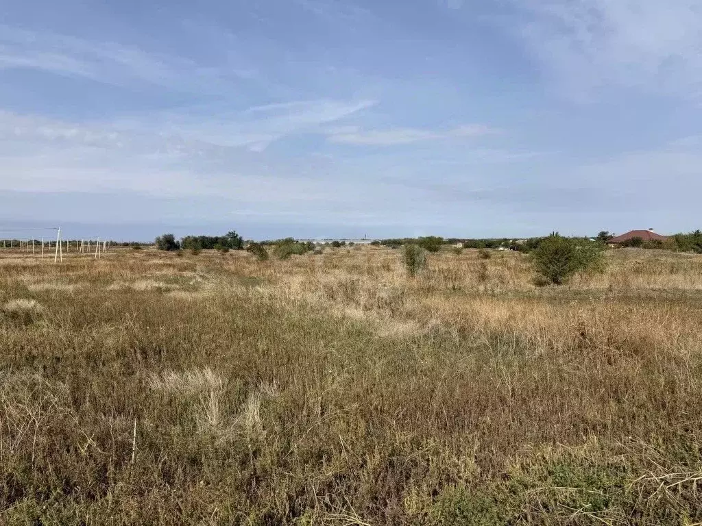 Участок в Ростовская область, Мясниковский район, с. Большие Салы ул. ... - Фото 2