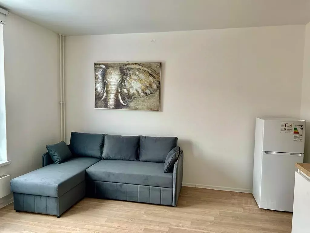 Студия Московская область, Красногорск городской округ, пос. ... - Фото 1