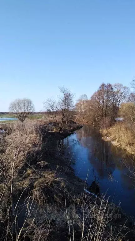 Участок в Ивановская область, Шуйский район, пос. Колобово ул. ... - Фото 0